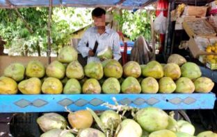 डीएम साहब मुनाफाखोर नारियल पानी विक्रेताओं के विरूद्ध हो कार्रवाई, गरीब आदमी के हित में लगवाई जाए रेट लिस्ट