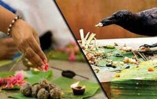 माता पिता की आत्मा की शांति के लिए श्राद्ध के साथ ही कुछ नया विद्वानों से विचार कर होना चाहिए