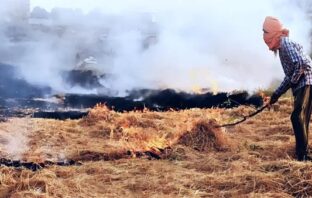 पराली जलाई तो लगेगा 30 हजार रुपये तक का जुर्माना