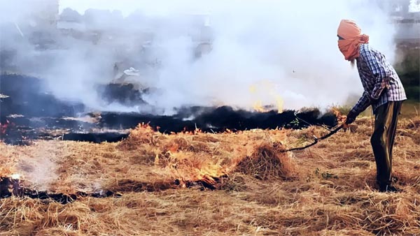 पराली जलाई तो लगेगा 30 हजार रुपये तक का जुर्माना